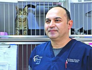 Cats in Ankara treated at a specialized hospital