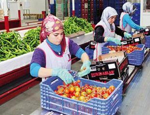 Cost of Russian crisis continues to rise