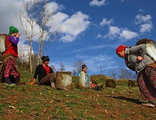 Women’s illiteracy far outstrips rate for men in Turkey: Data