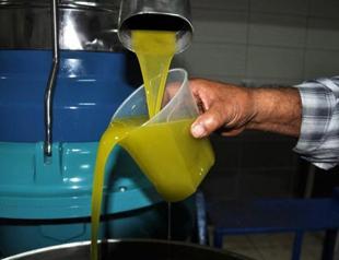Turkey’s olive oil exports fall by 33 percent due to skyrocketing prices