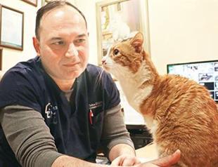 ‘Umut’ becomes mascot of cat hospital in central Turkey