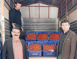 Agriculture sector sounds the alarm in Antalya amid Russia crisis