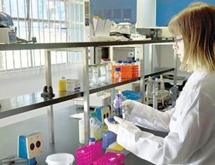 Dominican Republic confirms 10 cases of Zika virus