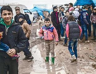 Educational, training opportunities for refugees could be optimized