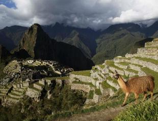 Industry threatens nearly half of UNESCO natural heritage sites