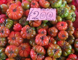 Who picks your tomatoes