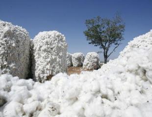Turkish duty on US cotton to hurt its own textile exporters: Association