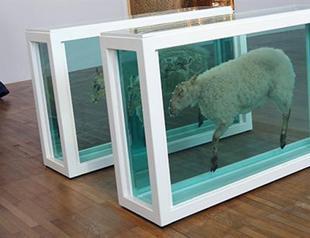 Damien Hirst artworks leaked formaldehyde gas: study