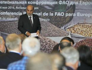 Global cooperation needed for food security and agriculture amid climate change: FAO Director General