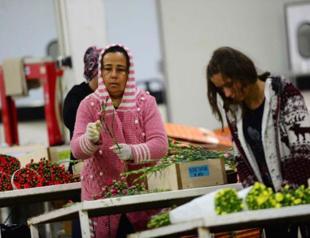 An ode to Turkish mothers