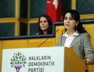 HDP cannot be shaped by ‘impositions,’ says co-chair
