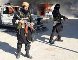 ISIL leader for Iraqs Anbar province killed in air strike: Pentagon