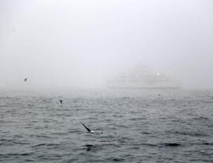 Heavy fog halts maritime traffic in Istanbul