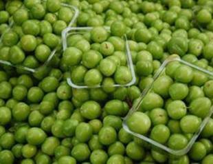 Lively and lovely plum