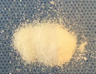 Health Ministry, TÜBİTAK support project to produce ‘halal’ bone graft