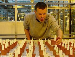 Out of this world: ‘Moon and Mars veggies’ grow in Dutch greenhouse