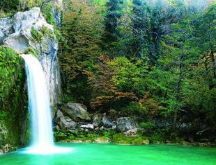 Cameras observe wildlife in Turkey’s Küre Mountains
