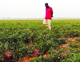 Women forced to trade sex for land rights, global research finds