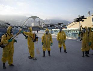 Olympics should move due to Zika concerns, say 150 experts