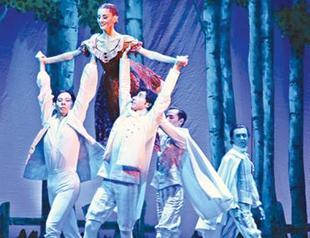 Number of opera, ballet halls falls