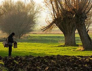 Townsfolk go off on quest in ‘Search Engine’