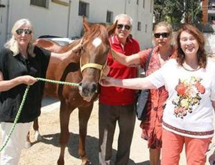 Racehorses are being slaughtered to become sausages, Turkish jockey says