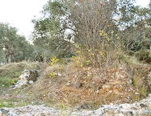 Historic church ruins taken under protection in Turkeys Balıkesir