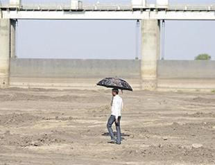 A leadership priority: Climate change mitigation and biopolicy