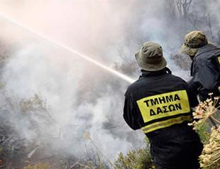 Ankara: Greek Cyprus trying to score political points over fire