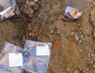 Skeleton pieces found in Yemişkapanı excavations