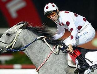 Graystorm wins Gazi Derby