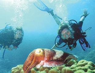 Antalya attracting new breed of underwater tourist
