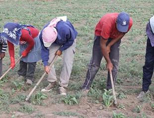 At least 200 workers died of work related reasons in June: Report