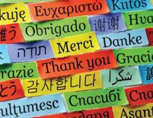 Turkey’s foreign language courses ‘insufficient,’ says Boğaziçi University professor