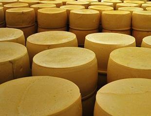 Cheese symposium to be held in Turkey’s east