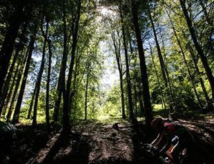 Can we feed the world without cutting forests It can be done, says UN