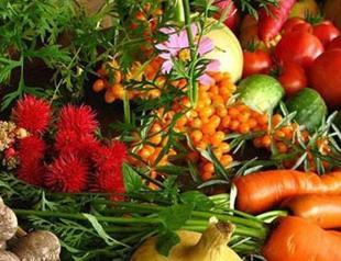 Russia to ban all Turkish fruit and vegetable imports next week: Interfax