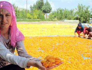 Turkeys current account gap falls sharp in May