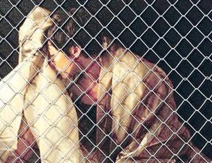 Turkish artist at New York gallery