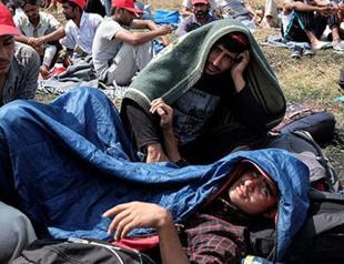 Migrants on Serbia-Hungary border go on hunger strike, want to enter EU