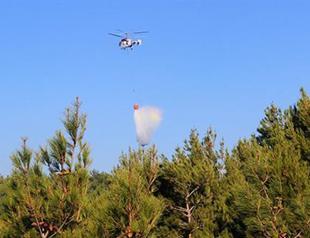 Forest fire in Turkey’s west contained: Official