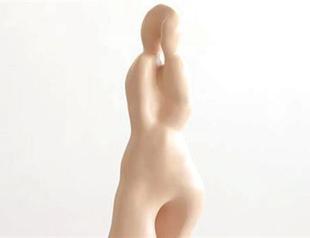 Turkish artist in NY art show