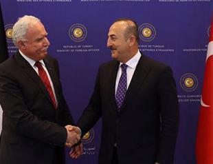 Turkey to support Middle East peace process: Turkey’s FM