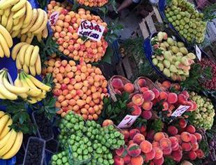 Turkey, Russia may reach $100 bln trade target by 2019: Business council