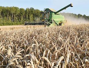 Staple food prices rise 7 percent in August, says UN’s FAO