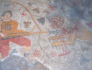 Mosaic in clover field under protection in Konya