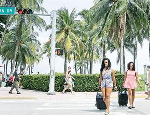 Florida finds Zika in local mosquitoes, bromeliads blamed