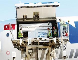 Precious horses on Istanbul course for debut race