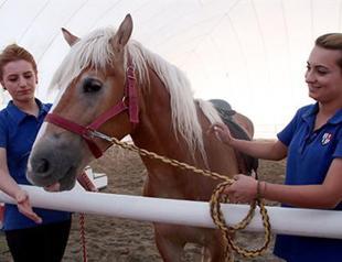 Diyarbakır Hippodrome provides women with jobs
