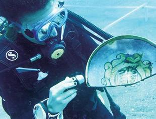 Rare ancient plate set found underwater in Antalya